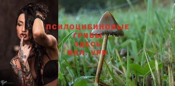 каннабис Алексеевка