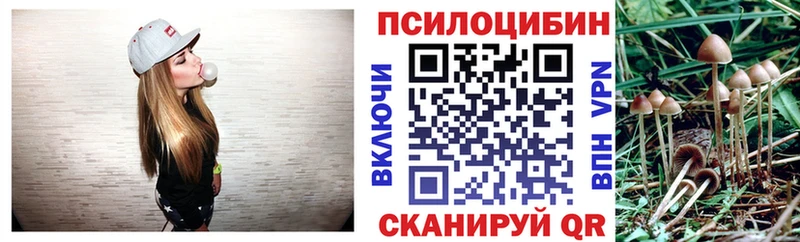 Псилоцибиновые грибы Psilocybine cubensis  Нарьян-Мар 