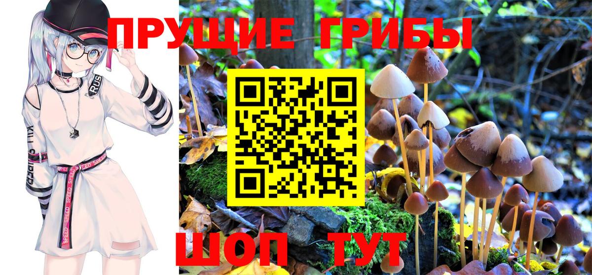 Галлюциногенные грибы Cubensis  Псилоцибиновые грибы Psilocybe  Нарьян-Мар  Вход с VPN 