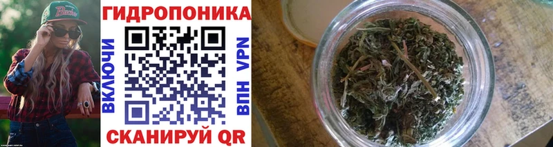 Шишки марихуана тримм  mega как зайти  Нарьян-Мар 